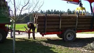 Holz von Sturm 