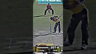 yorkor Bolled Shaheen and zaman LQ vs pz #cricket #psl2023 #pakistan #psl8 #status #ytshorts