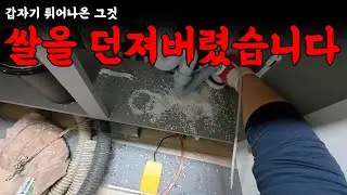 야밤에 난리가 나버린 대참사 현장 | 하수구 대마왕 😈