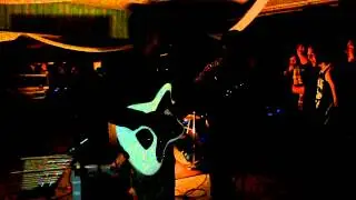 Amorette -  Terra Tellus (LIVE)