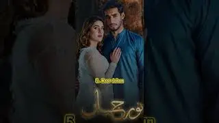 Top 5 Best Dramas Of Ali Raza #shorts #top5