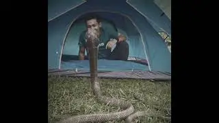 Snake😏 #phonk #troll #shorts #trending #viral #viralvideo #edit