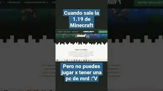 Minecraft 1.19  :