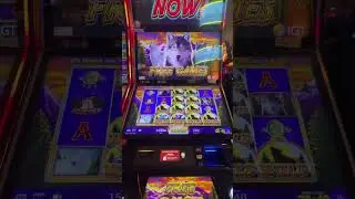 Wolf peak bonus!