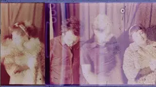 Insect Guide - Wasted (Live) - Dark Days & Nights
