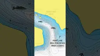 Spring TRANSITION areas? (Spring Bass Fishing)