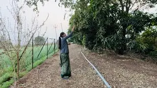 संक्रांती साठी गेले आंबट बोर आणायला 🥰😍