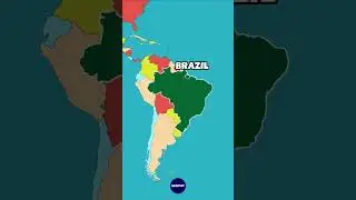 The Country with The Largest FOREST in the World #facts #geography  #forest