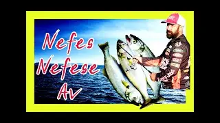 KARADENİZ KARASU LÜFER ÇİNEKOP AT ÇEK - SPİN - BALIK AVI - BALIKTA