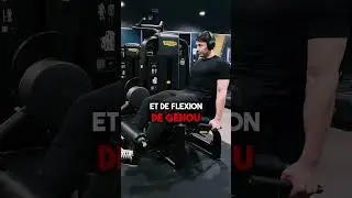 Programme d&eacute;butant en musculation - 3 s&eacute;ances