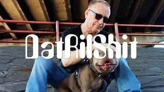 4Dee - DatRilshit Vid