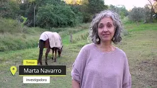 🌍 Ebrencs pel Món ▶ Marta Navarro (Tivissa): investigadora, Universitat de Queensland (Austràlia)