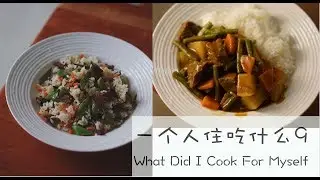 Vlog |一个人住吃什么9 牛肉合集 牛肉咖喱饭 牛肉炒饭 牛肉片夹荷叶饼 What did I cook for myself