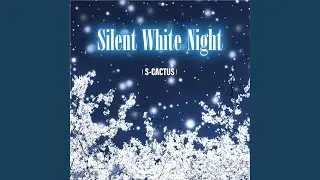 Silent White Night