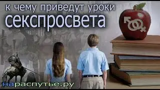 К чему приведут уроки секспросвета