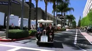 two and a half men on CSI - guest star appearance