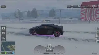 Driving like licence