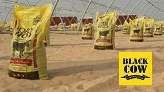 مراحل تصنيع السماد العضوي بمصنع قطاف للأسمدة