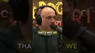 Why Were Humans Created? | #joerogan #joeroganpodcast #jre