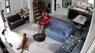 #loveanimals #careforanimals #respectanimals #dog #goldenretriever #family #neighbors #cctv #views 