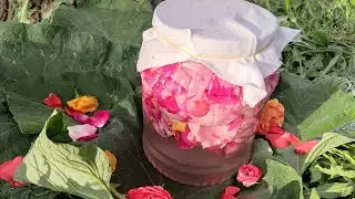 Organik G&uuml;l Sirkesi Nasıl Yapılır ✅ G&uuml;l Sirkesi ✅