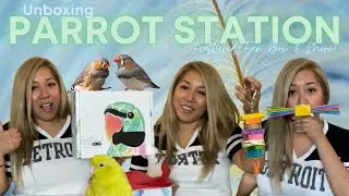 Crazy FUN! Bird Toy Unboxing | Parrot Station #engagednotcaged #supportsmallbusiness