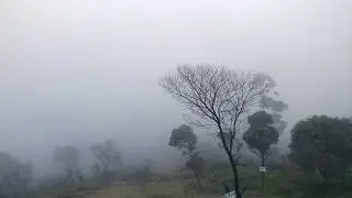 Shevaroys Hills