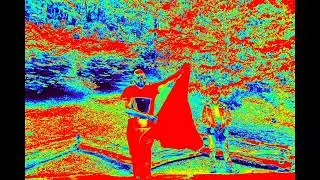 Non-binaries in Nature (featuring infrared thermography), 3 minutes 46 seconds, 2025.
