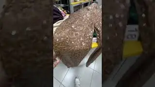 Приглашаю в Смарт Стор.Ссылки на мои аккаунты в описании под видео ⤵️.заходите.подпишитесь.