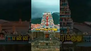 Murugan Song WhatsApp Status Tamil 4k 🙏🙇🦚//#trendingshort #murugan #thaipusam #murugansongs #viral