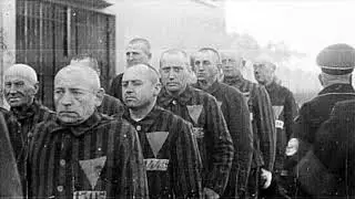 Berlin 1936 Olympics: Defying the Nazi Regime