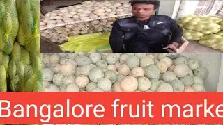 Bangalore fruit market | Electronic City fruits market| ಬೆಂಗಳೂರು ಹಣ್ಣಿನ ಮಾರುಕಟ್ಟೆ#farmervlogs