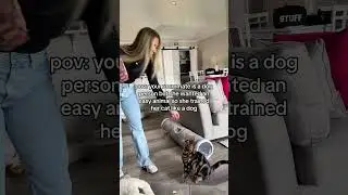 cats raised by dogs #cats #cat #catshorts #catyoutube #ytviral