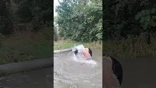 Ligo Challenge accepted  #shorts #ligo #challenge #short #subscribe