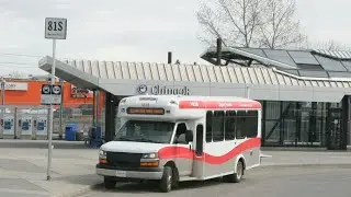 Calgary Transit 1838 (2013 ARBOC Spirit of Freedom) on route 81