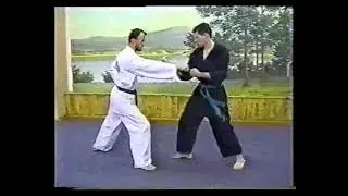 Школа Чой #34