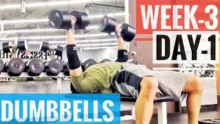 (Chest Lv-25) Dumbbells W3-D1 Routine Week-3 Day-1  95lbs, 100lbs