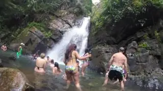 Rainforest & Bio Bay