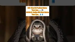 #cats#lover#kittyy#status#shorts#mobile#padhai#trending#viralshorts#fyp