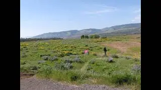 Rowena Crest, Columbia River Gorge