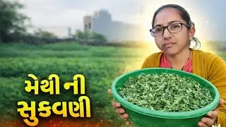 ઘરે જ મેથીની સૂકવણી સરળ રીતે