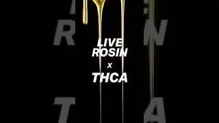 Live Rosin Pens: HASH HOUSE X THE DOPEST SHOP
