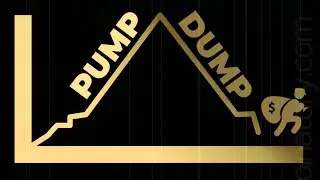 NOT FINANCIAL ADVICE Pump-and-Dump
