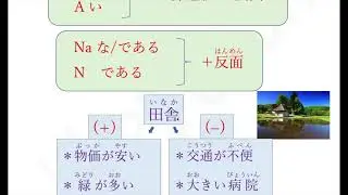 N3文法 〜反面