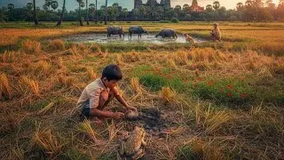“How old were you when you learned to catch frogs in the rice fields?”