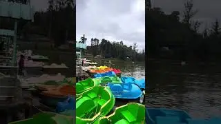 Ooty Boat house 😍| Ooty Lake #shorts #ootytouristplaces #ootytrip #summer #travel