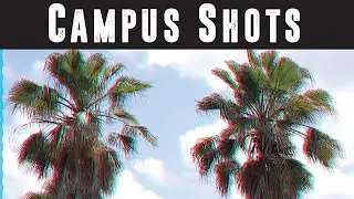 Campus Shots: Short, Silent Video.