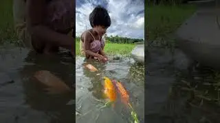 Amazing cute girl catching fish by hand #bigfish #fishvideo #shots