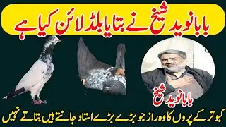 BABA NAVEED SHAIKH NE BTAYA BOLAD LINE  KEA H 