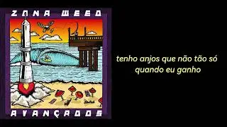 Zona Weed - Haxixe & Flor (prod.ZionLab.)